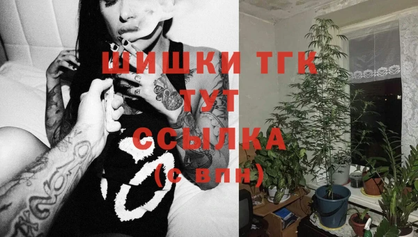 PSILOCYBIN Михайлов