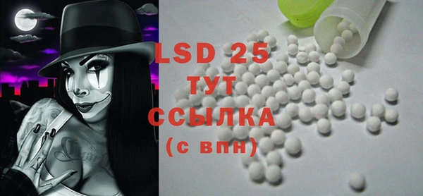 PSILOCYBIN Михайлов