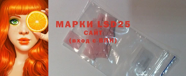 PSILOCYBIN Михайлов