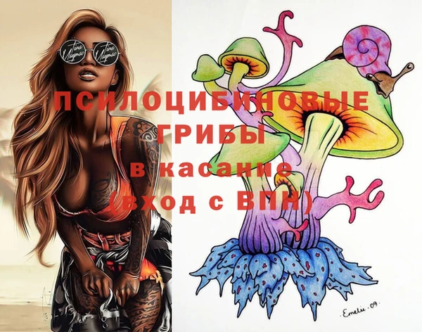 PSILOCYBIN Михайлов