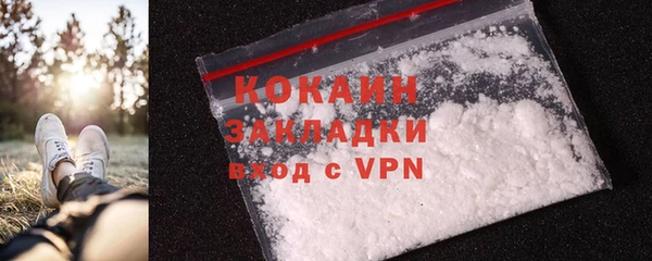 PSILOCYBIN Михайлов