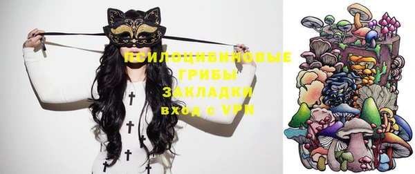 PSILOCYBIN Михайлов