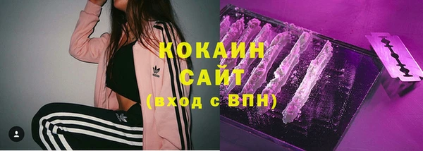 PSILOCYBIN Михайлов